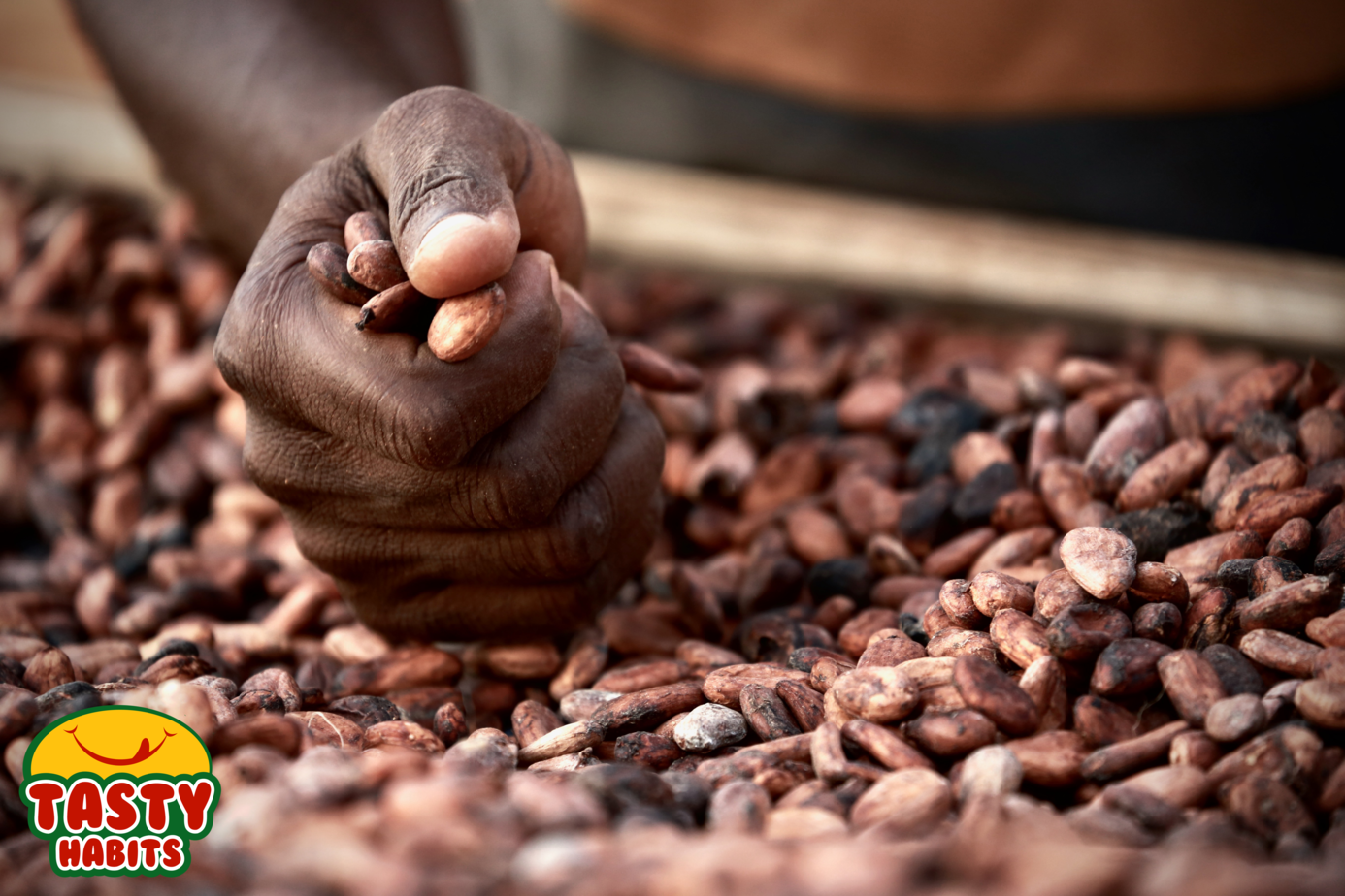Chocolate Types